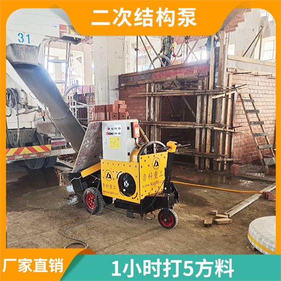 小型二次結(jié)構(gòu)造柱泵
