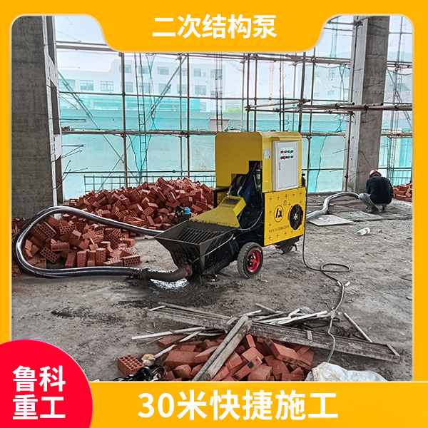 臥式小型二次結構柱泵